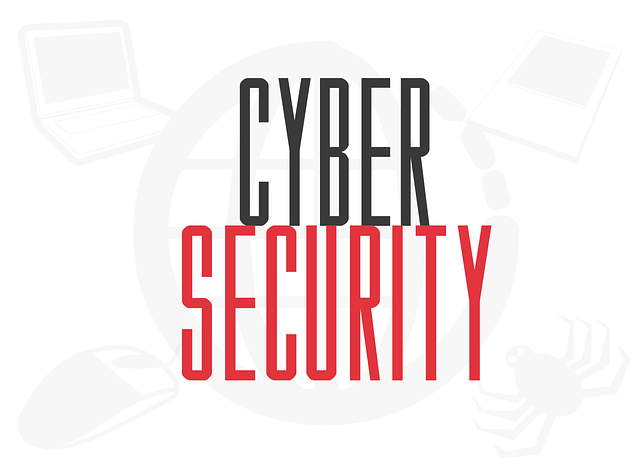 cyber-security-1802603_640.png